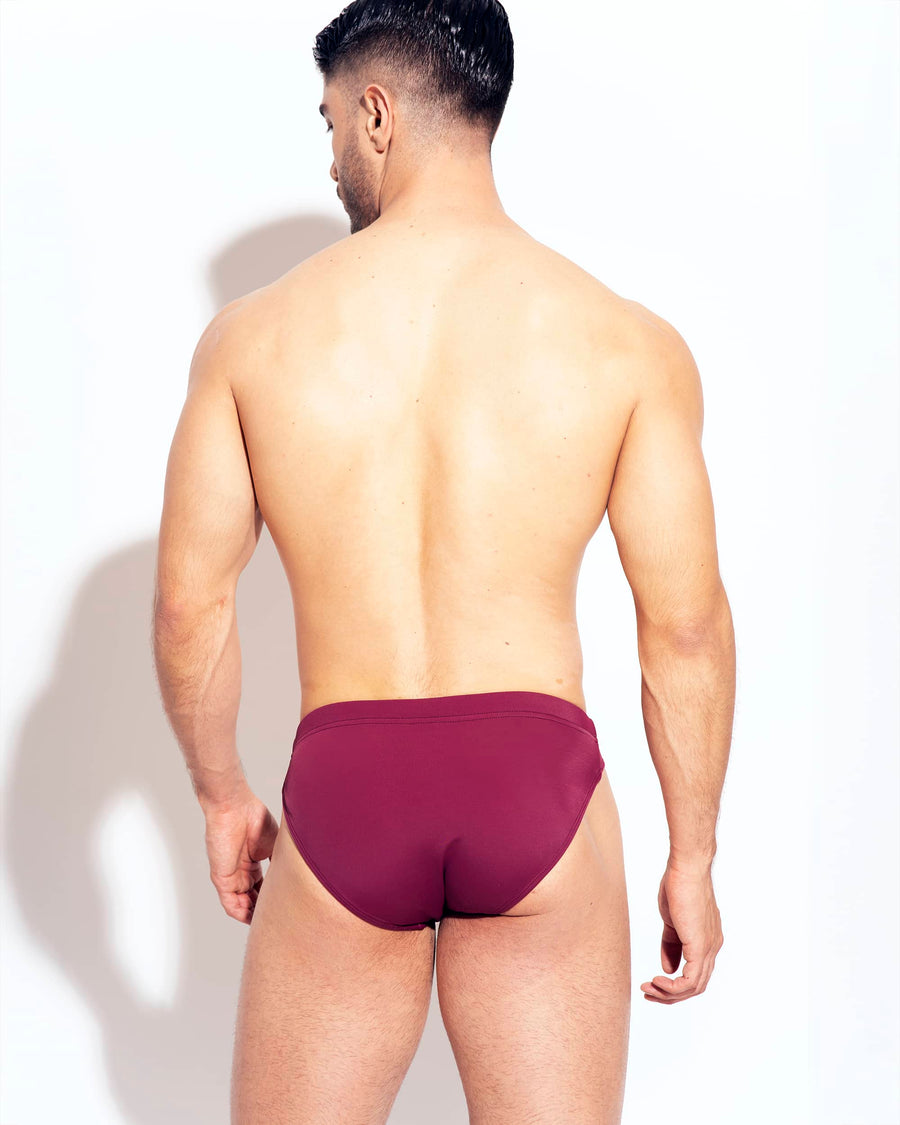 ESSENTIAL BURGUNDY BRIEF